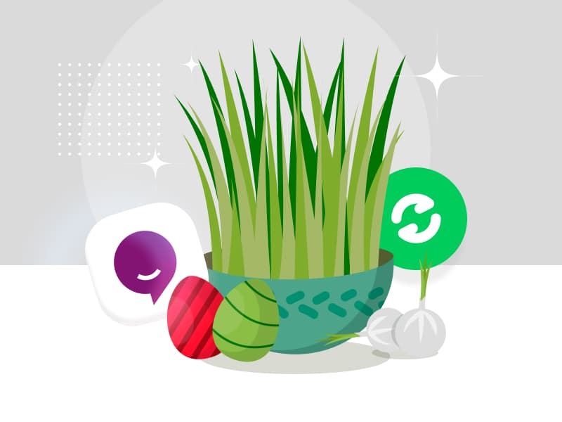 بروزرسانی جدید رایچت